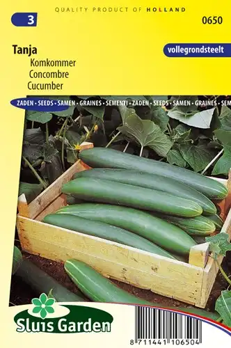 Cucumber Tanja